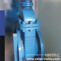 DIN Cast Iron Gg25/Gg40 RF Flanged Soft Seat Gate Valve